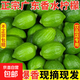 村下佬正宗廣東香水檸檬 新鮮現摘香水檸檬青檸檬小青檸暴打檬茶 廣東香水檸檬-單果70g起 中果：9斤