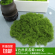 仿真苔蘚絲草坪仿生青苔景觀綠植小草盆景造景鋪面假苔蘚裝飾假草 絲狀苔蘚軍綠色100克