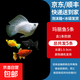 瑪麗魚(yú)胎生魚(yú)皮球月光魚(yú)小型魚(yú)活體熱帶觀(guān)賞魚(yú)米奇魚(yú)孔雀魚(yú)耐養 瑪麗魚(yú)5條含1條備損