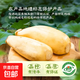 湖北洪湖蓮藕新鮮脆藕國(guó)家地理標(biāo)志新鮮蔬菜涼拌 新鮮脆藕5斤