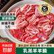 精選草原羊腩肉羔羊肉散養羔羊肉塊鮮嫩不膻燒烤燉煮生鮮食材5斤 羊腩肉5斤