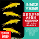 金苔鼠魚(yú)魚(yú)缸清潔魚(yú)工具魚(yú)魚(yú)缸除藻清理糞便小型熱帶觀賞魚(yú)魚(yú)活體 金苔鼠7條送備損3條【發(fā)10條】