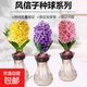 風(fēng)信子種球水培套裝陽(yáng)臺室內外好養易活耐寒水養植物盆栽花卉種子 優(yōu)_自選3顆球+3玻璃瓶+3包營(yíng)養液+3包菌