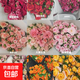 【多頭玫瑰花】特價(jià)花店同款泡泡鮮花鮮切花束七夕禮物送人混搭 隨機多頭10枝