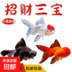 精品金魚(yú)觀(guān)賞魚(yú)獅子頭好養耐活自來(lái)水鴻運當頭丹頂冷水淡水風(fēng)水魚(yú) 吉祥三寶丹頂國獅龍睛隨機組合 10-13CM3條