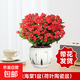 鐵海棠盆栽花卉室內盆景綠植四季開(kāi)花虎刺梅辦公陽(yáng)臺花卉開(kāi)花植物 【帶花發(fā)貨】精品鐵海棠（郁金香瓷盆）