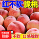 【紅不軟脆桃】現(xiàn)摘正宗陜西脆甜蜜桃新鮮水果毛桃沐馳活動專享 紅不軟帶箱2斤（3-6粒）