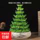 節(jié)節(jié)高富貴竹塔水培室內(nèi)植物盆栽竹子轉(zhuǎn)運(yùn)開運(yùn)竹發(fā)財(cái)富貴竹寶塔竹 8層竹塔+富春山水陶瓷盆