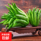 佛手柑云南新鮮佛手果柑應季單個大佛手柑鮮果食用清供把玩聞香 單果800-1000g 1個 發(fā)貨均為綠色，長時間擺放會變黃
