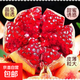 四川會理紅石榴新鮮當(dāng)季水果爆汁飽滿多汁軟籽石榴-榮晟 帶箱2斤單果250g+