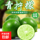 新鮮有籽青檸檬 酸爽多汁檸檬水奶茶店青皮檸檬 4顆裝 單果60-80g