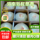 海南文昌去皮椰青大果特產(chǎn)熱帶孕婦補(bǔ)羊水水果當(dāng)季現(xiàn)摘椰子蛋椰汁 椰青2個(gè)裝單果2-2.5斤 帶箱約5斤
