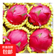 紅心火龍果 金都一號(hào)廣西云南薄皮火龍果應(yīng)季新鮮水果 單果200g起 3個(gè)裝（薄皮多汁）
