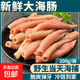 新鮮厚皮海腸 鮮活速凍沙蟲海捕海腸皮海腸撈飯海鮮水產商用1000g 2袋厚皮海腸【400g】