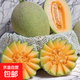 正宗山東哈密瓜曉蜜17新鮮現(xiàn)摘當(dāng)季水果甜瓜 3-3.5斤