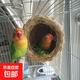 【京東物流】寵物草編鳥窩鳥巢 牢固簡約葫蘆窩爬寵小寵 四季通用 鳥窩【2個】