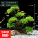 共度（Gong Du）魚(yú)缸裝飾造景擺件樹(shù)脂工藝品假山仿真沉木莫斯水 仿真沉木莫斯水草 外貿綠
