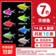七彩天使觀(guān)賞魚(yú)好養耐活小型淡水魚(yú)熱帶魚(yú)小型魚(yú)自來(lái)水可養神仙魚(yú) 七色天使14送4備損共【18條】 3-4.5cm
