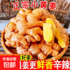 云南小黃姜新鮮老姜10斤沙姜仔姜月子姜南姜農(nóng)家現(xiàn)挖干姜生姜批發(fā) 5斤 【正宗小黃姜】源頭直采包郵
