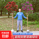 紫薇樹(shù)苗地栽紅火箭紫薇花樹(shù)苗庭院花卉綠化工程樹(shù)苗盆栽耐寒植物 1公分粗（高1.1米左右）【拍時(shí)備注品種】