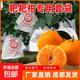 耙耙柑專(zhuān)用套袋柑橘果袋臍橙子春見(jiàn)不知火芒果石榴防蟲(chóng)鳥(niǎo)水果套袋 中號刀把款17*21（500個(gè)）