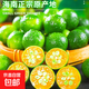 海南青金桔鮮小金桔薄皮奶茶店專用小青柑原產(chǎn)地新鮮直發(fā) 2斤大果【一塊錢硬幣大小】 手工精選-【海南小金桔】