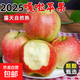 2025年新果嘎啦蘋(píng)果脆甜多汁新鮮采摘山野 帶箱五斤