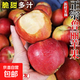 山東魯麗蘋果新鮮水果當(dāng)季脆甜多汁孕婦非紅富士丑蘋果冰糖心昕 2粒嘗鮮裝55mm+