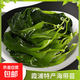 福建霞浦特產(chǎn)海帶苗鮮嫩海帶芽苗鹽漬海帶嫩苗火鍋食材專(zhuān)用 海帶苗500g*5袋