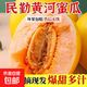 民勤黃河蜜瓜沙漠黃金脆甜瓜 1.5-2斤 皮薄肉厚多汁