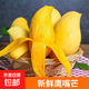 云南鷹嘴芒果 黃皮甜芒核薄多汁香甜無(wú)絲新鮮水果整箱 鷹嘴芒2斤單果150-200g