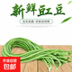 【超市品質(zhì)】新鮮農(nóng)家長(zhǎng)豆角豇豆角腌制泡菜早餐生鮮蔬菜豆角子 產(chǎn)地直發(fā)現(xiàn)摘 5斤