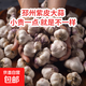 調料必備正宗邳州紫皮大蒜富硒營(yíng)養水果生鮮超市直播間新鮮大果 邳州紫皮大蒜5cm大果 1斤