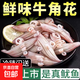 新鮮現(xiàn)切牛角花魷魚花目魚花新鮮冷凍魷魚火鍋燒烤食材批發(fā) 4包* 500g(凈重)  /包