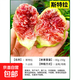 無(wú)花果樹(shù)果苗帶果矮化盆栽特大果波姬紅金傲芬斯特拉無(wú)花果苗樹(shù)苗 斯特拉6年苗當年結果（帶土帶葉發(fā)貨） 81cm(含)-110cm(含)