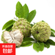 新鮮大目釋迦果番荔枝林檎大果佛頭果應(yīng)季熱帶水果 3斤大目釋迦果（單果250g以上）