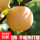 【現(xiàn)摘現(xiàn)發(fā)】豐水梨新鮮水果梨子冰糖梨脆甜多汁精選果之源 3斤