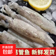 新鮮速凍筆管魚 鮮嫩海捕海兔小管魷魚 連云港產地直發(fā) 野生海捕筆管魚500g*1包1斤