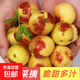 脆甜大荔冬棗現(xiàn)摘現(xiàn)發(fā)新鮮應(yīng)季水果 帶箱4斤（單果8-12克）