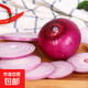 應(yīng)季新下新鮮紅洋蔥 新鮮紅洋蔥 5斤