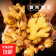 河南新鮮小黃姜產(chǎn)地直發(fā)新鮮現(xiàn)挖小黃姜生姜調(diào)味料新鮮蔬菜生鮮 小黃姜帶箱9斤裝