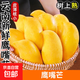 云南鷹嘴芒果 應季新鮮熱帶水果甜心芒整箱 鷹嘴芒3斤單果100-150g