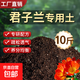 君子蘭專用土花土養(yǎng)君子蘭專用營養(yǎng)土肥料栽種盆栽土專用肥換盆土 君子蘭專用土10斤