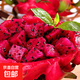 廣西新鮮現(xiàn)摘紅心火龍果 紅心火龍果帶箱1斤中果200g+