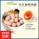 京喜加 無(wú)菌蛋可生食雞蛋 45g-50g 溏心蛋早餐新鮮雞蛋京東包郵買(mǎi)菜 可生食10枚