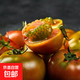 壽光農(nóng)掌柜番茄鐵皮柿子新鮮采摘草莓柿子酸甜綠腚水果柿子 草莓柿子5斤