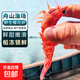 櫻花蝦  舟山海鮮火焰蝦玫瑰蝦非日本海捕冷鮮活冷凍刺身品質(zhì)生腌 2盒裝【2斤】 1000g(凈重)