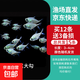 孔雀魚黑尾大勾冷水魚小型觀賞魚群游魚原生魚燈科類魚草缸群游 黑尾大勾12條備損3條【發(fā)15條】