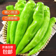 山東現(xiàn)摘現(xiàn)發(fā)綠尖椒農(nóng)家自種新鮮香辣尖椒青椒當季蔬菜 尖椒新鮮綠椒 2斤