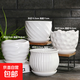 盆生花道花盆陶瓷輕奢特價(jià)清倉大號帶托盤(pán)家用吊蘭多肉小花盆特大 四個(gè)中號白璧無(wú)瑕